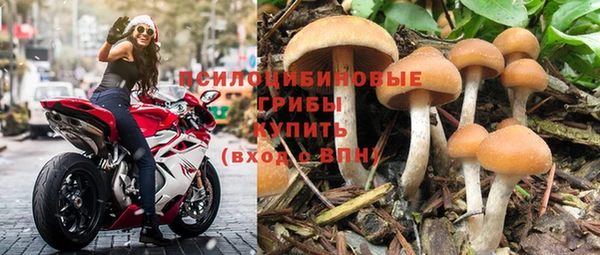 метадон Алексин