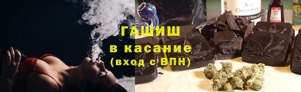 PSILOCYBIN Алзамай