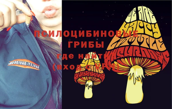 PSILOCYBIN Алзамай
