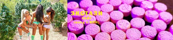 дмт Алексеевка